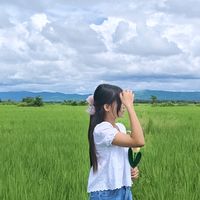 phwe12341