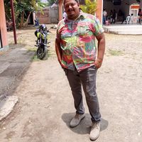 renesolis575