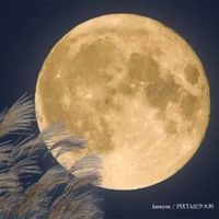 supermoon667