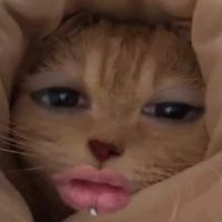 suara asli - Lin