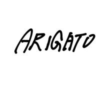 arigato96691
