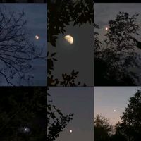 moon_aesticx
