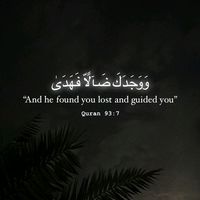 mudassarshoukat45