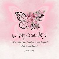 user__20247