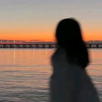 slnlu35