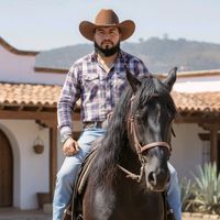 david_el_woody