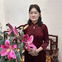 bakhuongdaily