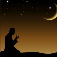 life.w.habibi