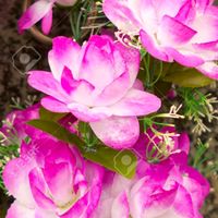 오리지널 사운드 - 봄이란? 봄 햇살