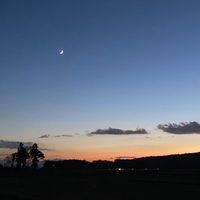 オリジナル楽曲 - yanboou