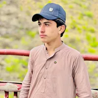 original sound - shahzadchandia072