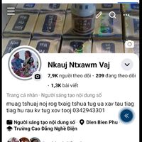 nhạc nền - nkauj ntxawm vaj