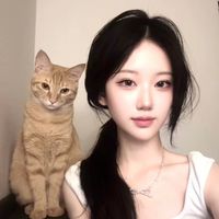 dtiits6