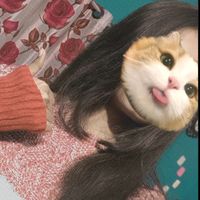 only_surjo_