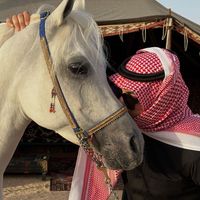 ammar_khalil