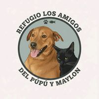losamigos_delpupu