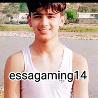 essagaming14