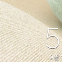 오리지널 사운드 - 틱톡찍는잼민이
