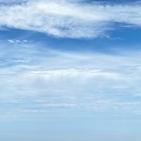 suara asli - Anthy11