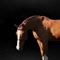 soulhorse.historius