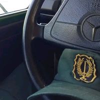 talyani334