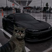 bxw67