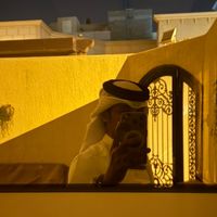 الصوت الأصلي