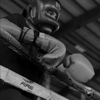 .emmanuel.gutierrez