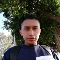 renemota77