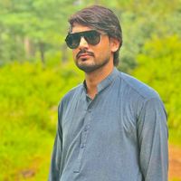 sardarmajid735