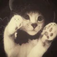 original sound - tiktweak