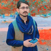 malikhasnain7876