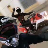 الصوت الأصلي