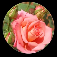 original sound - fjfghhgdxxd