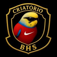 criatoriobhs_mg