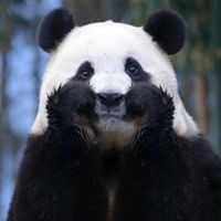 kiwi_30416