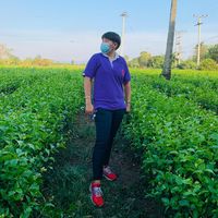 เสียงต้นฉบับ - Oilly