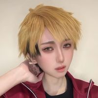sihawk3