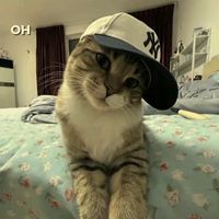 suara asli - christy🐟