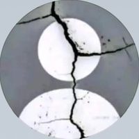 destinylusee467