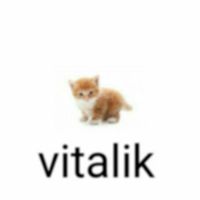 vitalik.li4