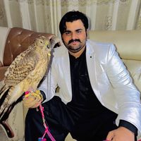 waqaralikharal