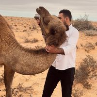 الصوت الأصلي