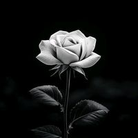 md.rubel.hasan3864