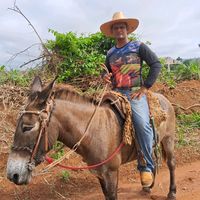 rogerio.rocha456