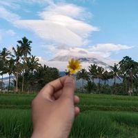 suara asli - E