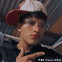 ronnicastillo503
