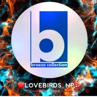 breeze_collection_np