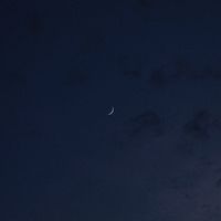 오리지널 사운드 - 취향 제이팝