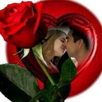 rosa446302